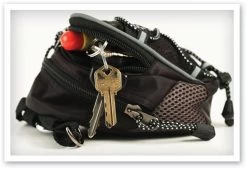 WinCraft Arkansas Razorbacks Mini Day Pack -Golf Equipment Library MiniDaypack Arkansas2